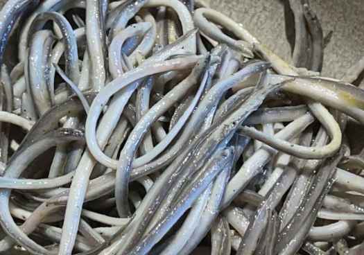 La empresa del chanquete de Soria recibe más de 900.000 euros de fondos europeos 