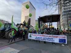 ASAJA celebra aval del Parlamento europeo para someter el acuerdo Mercosur a control jurídico