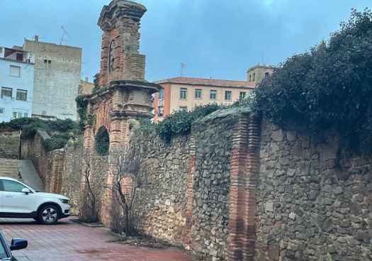 Que no son cerdos, que no son cutos