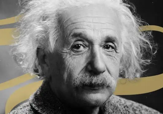 Estúpido antes que brutal