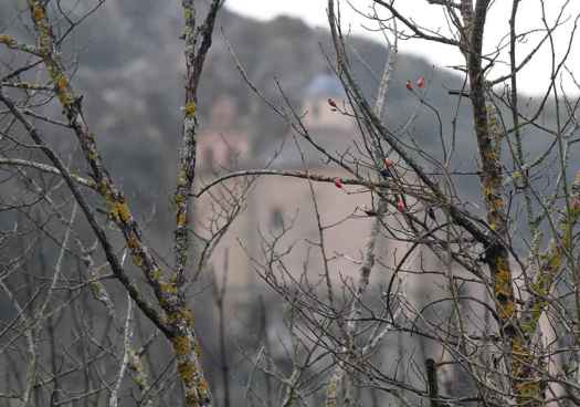 Paseo invernal junto al Duero, en Soria, hasta la ermita de San Saturio 