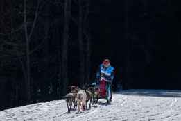 El musher olvegueño Javier Ruiz, plata en la Grande Odysseé
