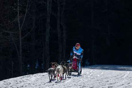 El musher olvegueño Javier Ruiz, plata en la Grande Odysseé