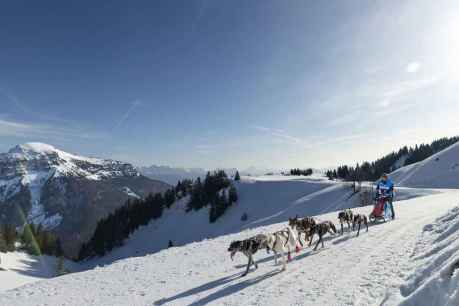 El musher olvegueño Javier Ruiz, plata en la Grande Odysseé