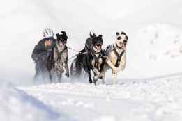 El musher Jorge García, campeón nacional de trineo con perros sobre nieve
