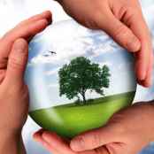 Temperar el mundo; deber de cuidado