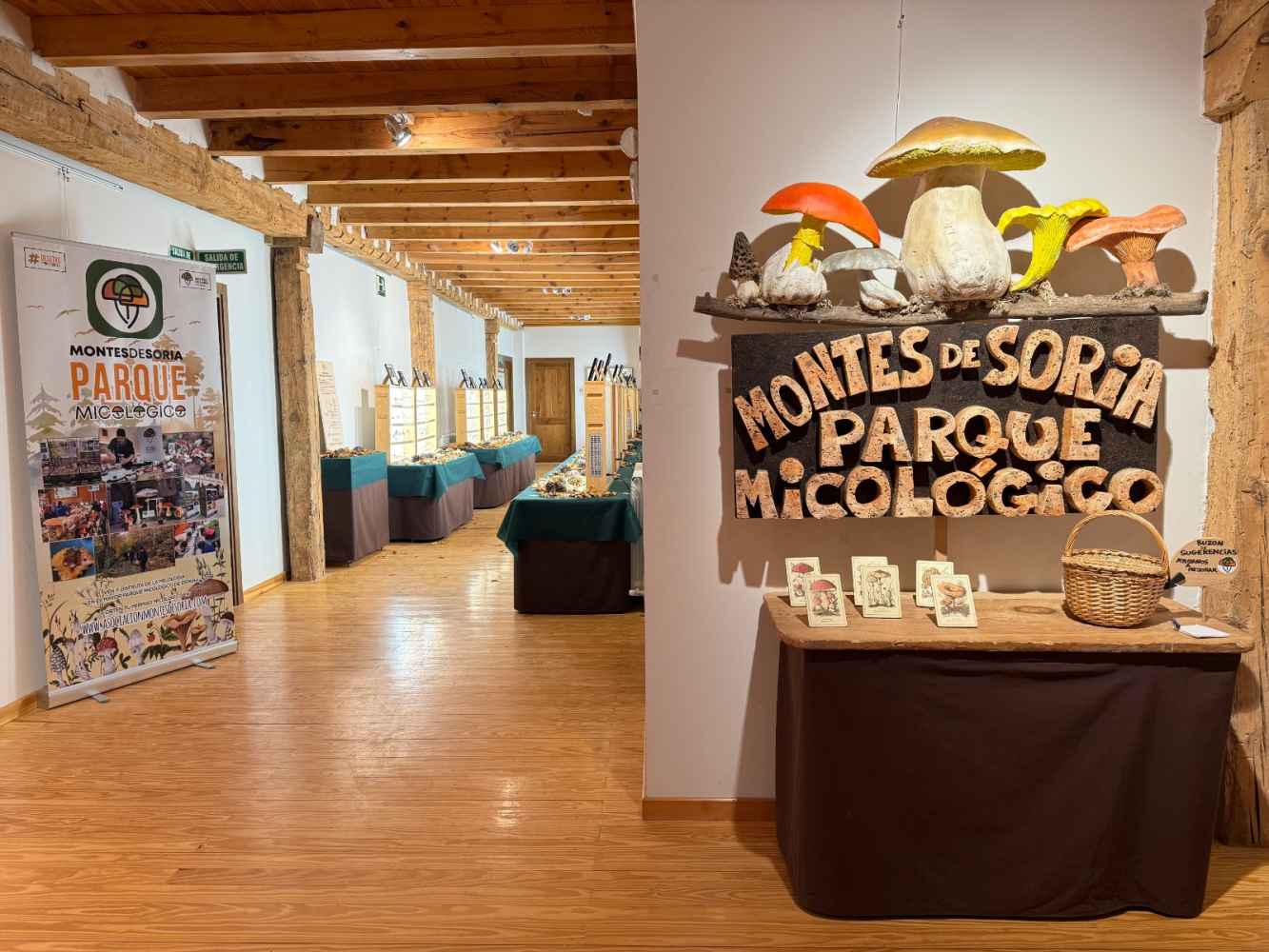 La II edición del DeSetasporSoria llega con más exposiciones a los espacios protegidos