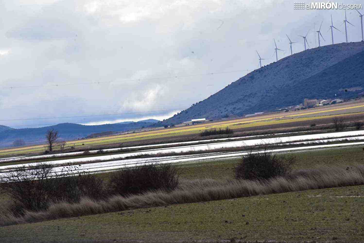 Las borrascas elevan hasta 40.000 hectáreas la superficie dañada en cultivos