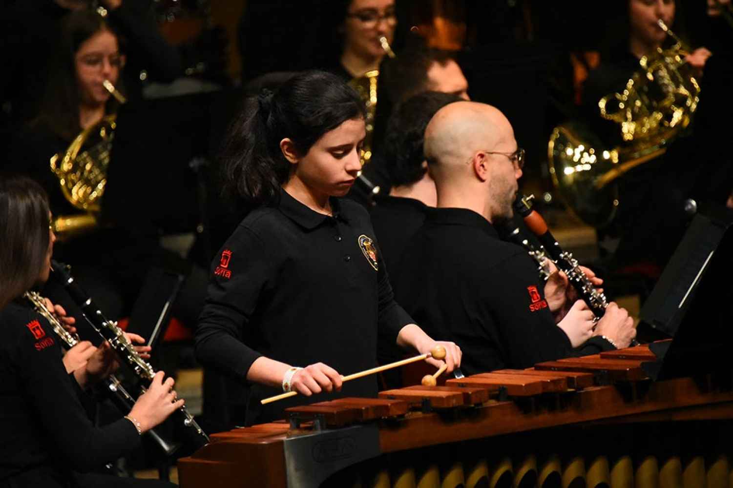 Dos conciertos didácticos en el Palacio de la Audiencia de Soria