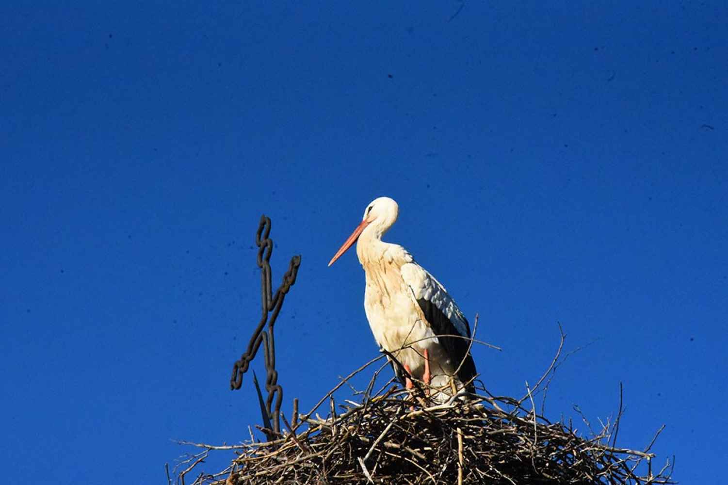 Paseo invernal y luminoso por la ciudad de Soria