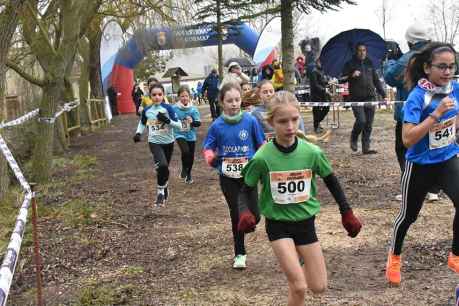 Cross de San Esteban de Gormaz: Campeonato provincial escolar (I)
