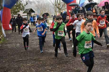 Cross de San Esteban de Gormaz: Campeonato provincial escolar (y II)