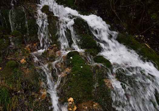 Nacimiento del río Pedrajas, en Cidones, en la sierra de Cabrejas, en fotos