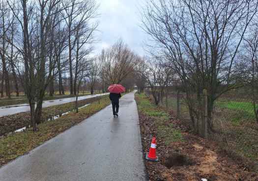 Almazán moderniza un tramo del parque La Arboleda con iluminación inteligente