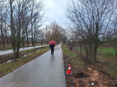 Almazán moderniza un tramo del parque La Arboleda con iluminación inteligente