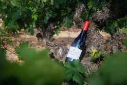 Dominio de Atsuta busca en París consolidar su posición en Europa y abrir nuevos mercados