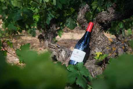 Dominio de Atauta busca en París consolidar su posición en Europa y abrir nuevos mercados