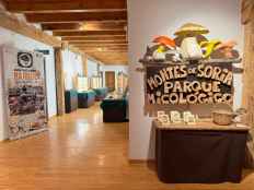 La II edición del DeSetasporSoria llega con más exposiciones a los espacios protegidos