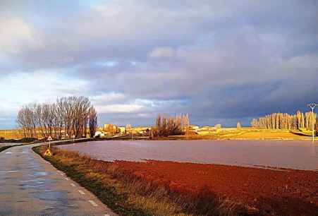 El río Rituerto se desborda en el campo de Gómara, en Paredesroyas