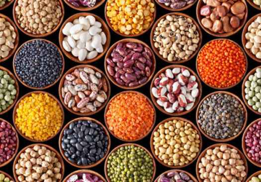 Nuestra vida debe estar animada, por el dominio de sí y la modestía