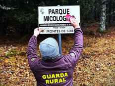 El Parque Micológico Montes de Soria concede permisos de recolección para 2026