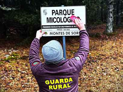 El Parque Micológico Montes de Soria concede permisos de recolección para 2026