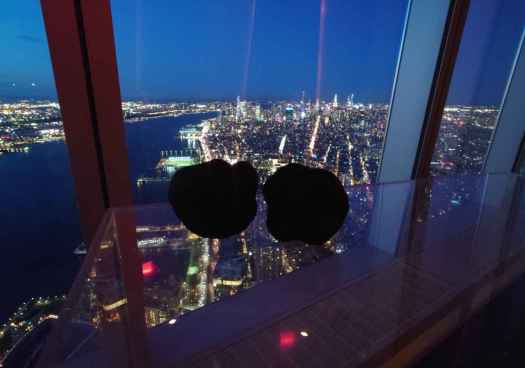 El EMI amplía conocimiento sobre la trufa negra en Estados Unidos