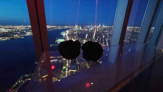 El EMI amplía conocimiento sobre la trufa negra en Estados Unidos