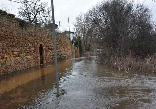 Soria mira la crecida del río Duero (en fotos)