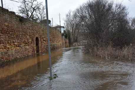 Soria mira la crecida del río Duero (en fotos)
