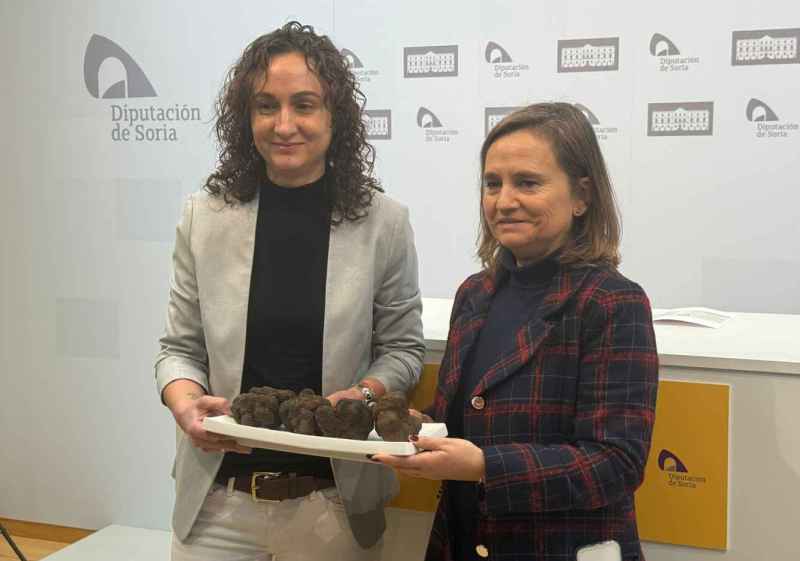 La Feria de la Trufa de Soria en Abejar llega a su vigésimo tercera edición