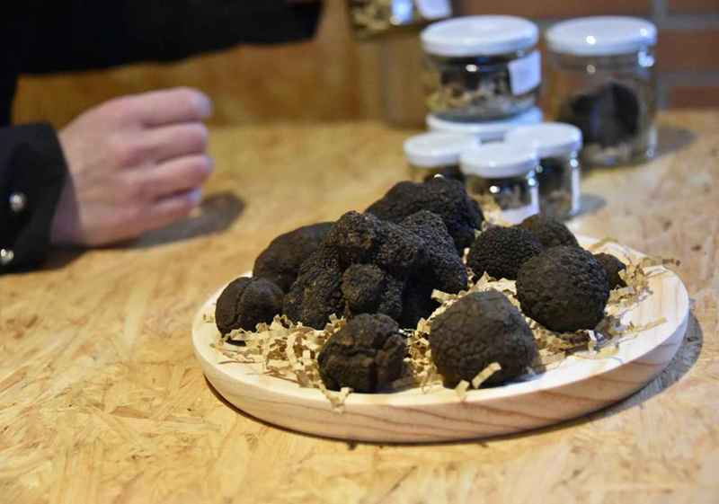 Abejar, capital de la trufa negra de Soria, inaugura su feria