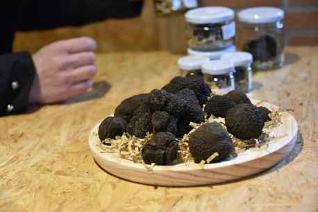 Abejar, capital de la trufa negra de Soria, inaugura su feria