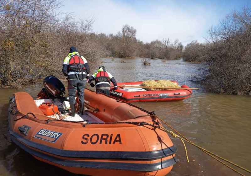 Los bomberos de Soria garantizan suministro de alimento a ganado aislado por inundaciones en Garray