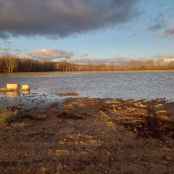 ASAJA Soria, preocupada por repercusión de lluvías e inundaciones en tierras de cultivo