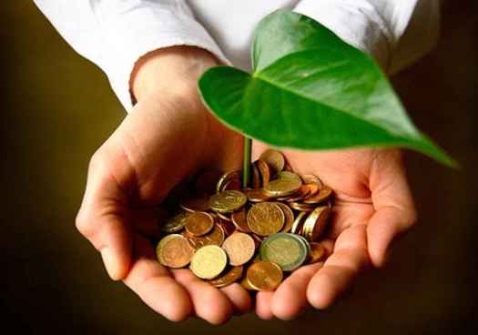 El Gobierno subvenciona con 2,6 millones cinco proyectos en Soria sobre impulso a la bioeconomía