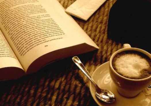 Podemos plantea red pública de bibliocafés para dinamizar medio rural