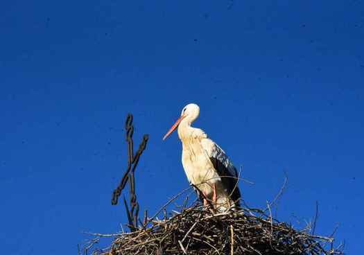 Paseo invernal y luminoso por la ciudad de Soria