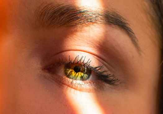 Quien quita el riesgo, quita la caída