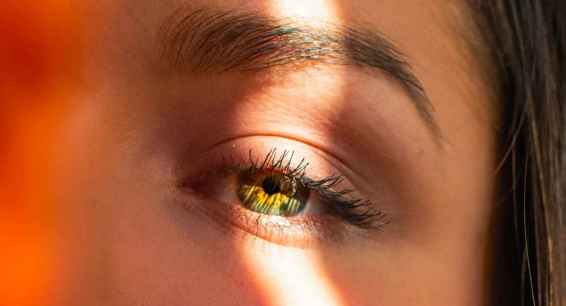 Quien quita el riesgo, quita la caída