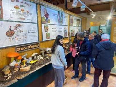 Las III Jornadas del Marzuelo de Navaleno estrenan la primavera micológica