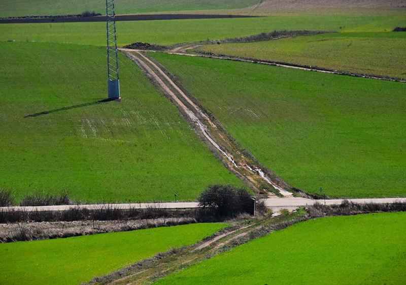 Paisajes en el campillo de Buitrago, en Soria