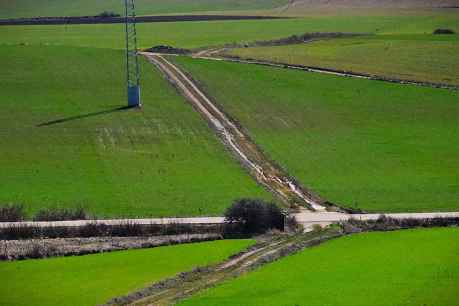 Paisajes en el campillo de Buitrago, en Soria