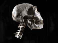 La Junta programa cerca de 600 actividades culturales en la Comunidad para el mes de marzo 