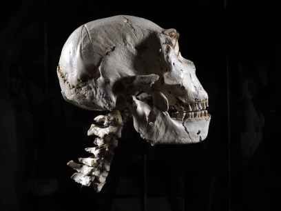 La Junta programa cerca de 600 actividades culturales en la Comunidad para el mes de marzo 