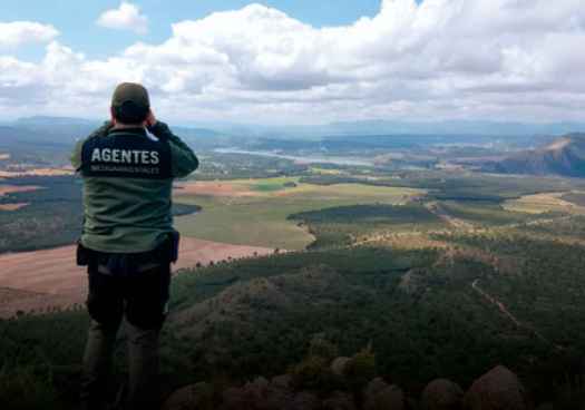 CSIF pide reconocer en ley competencias de los agentes forestales como Policía Judicial          