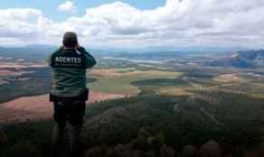 CSIF pide reconocer en ley competencias de los agentes forestales como Policía Judicial          
