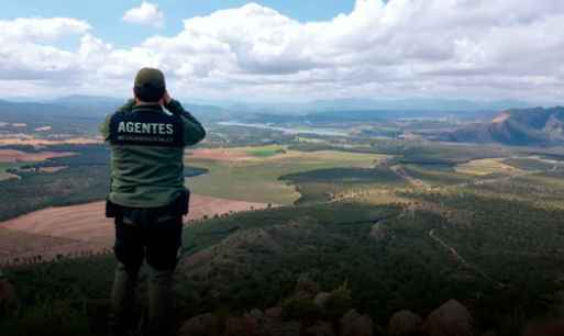 CSIF pide reconocer en ley competencias de los agentes forestales como Policía Judicial          