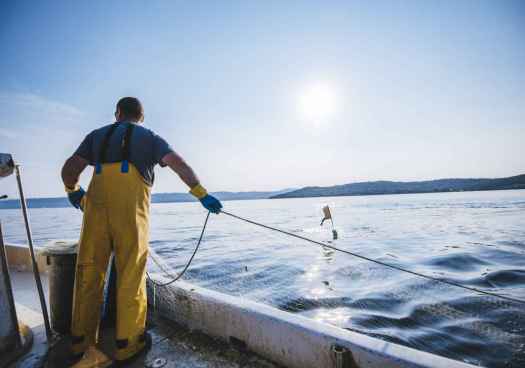 Hablando con propiedad 