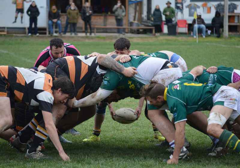 Ingenieros mantiene abierta pelea por play-off tras derrota ajustada en Monzón